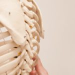 Quelles sont les évolutions de carrière d’ostéopathe ?